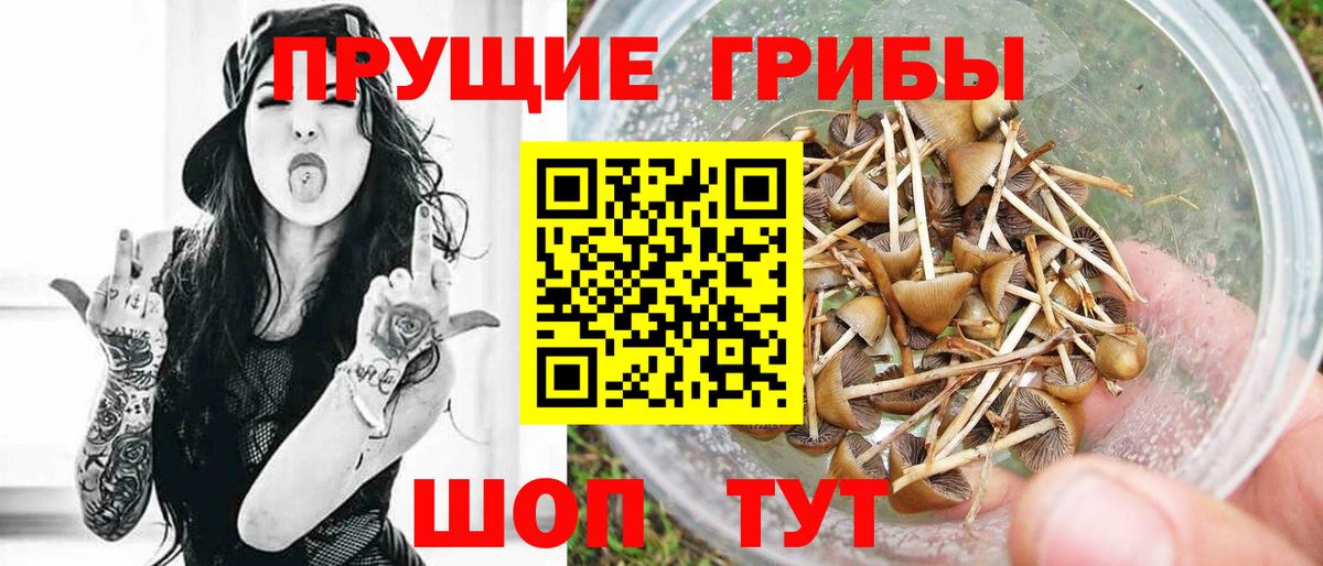 Псилоцибиновые грибы ЛСД  Вход с VPN  Дзержинский 