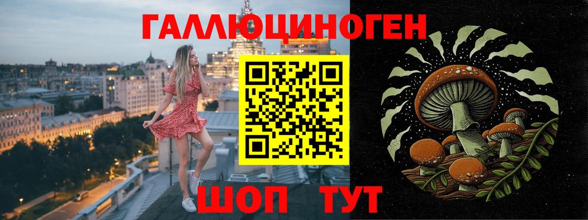 Галлюциногенные грибы мухоморы Дзержинский